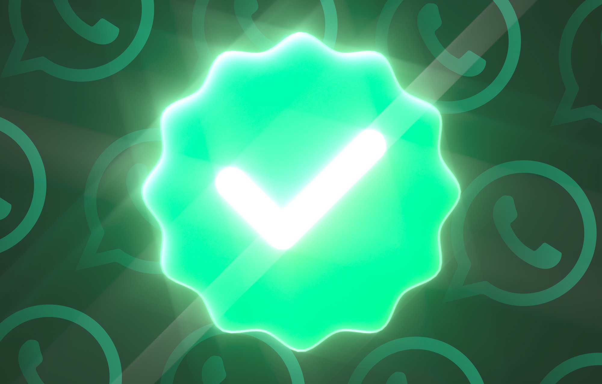 How To Get WhatsApp Green Tick Verification Charles